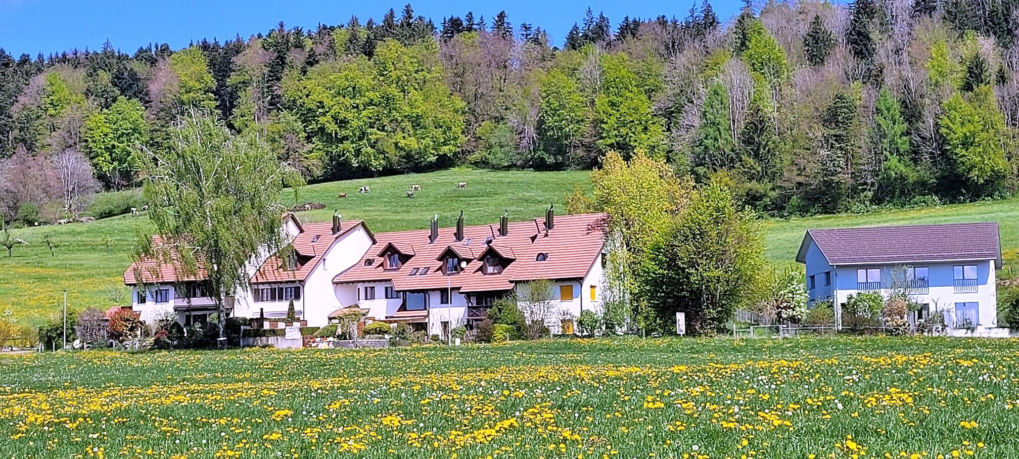Aussenansicht