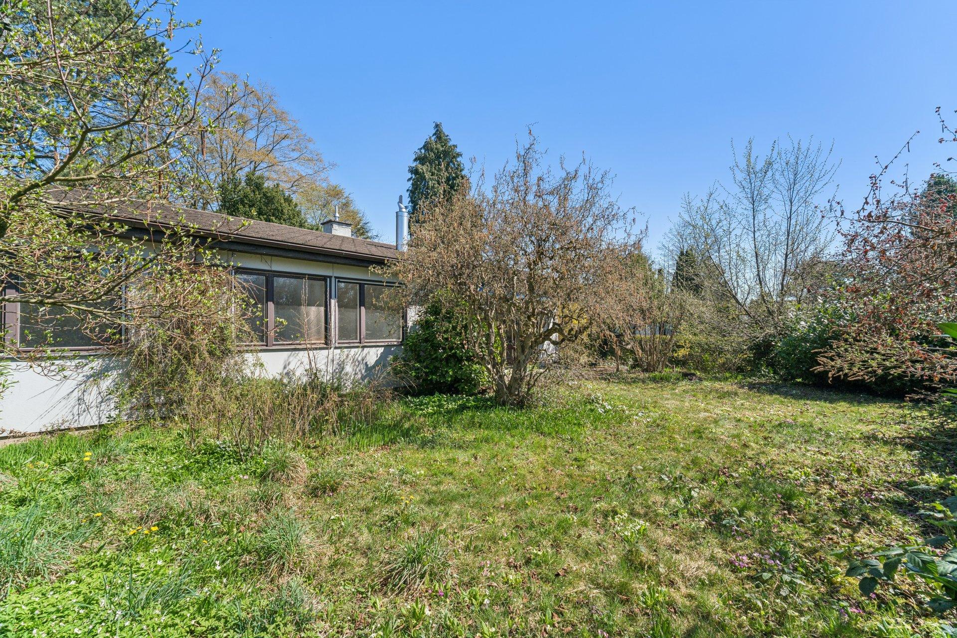 610657 B backbonephoto 014