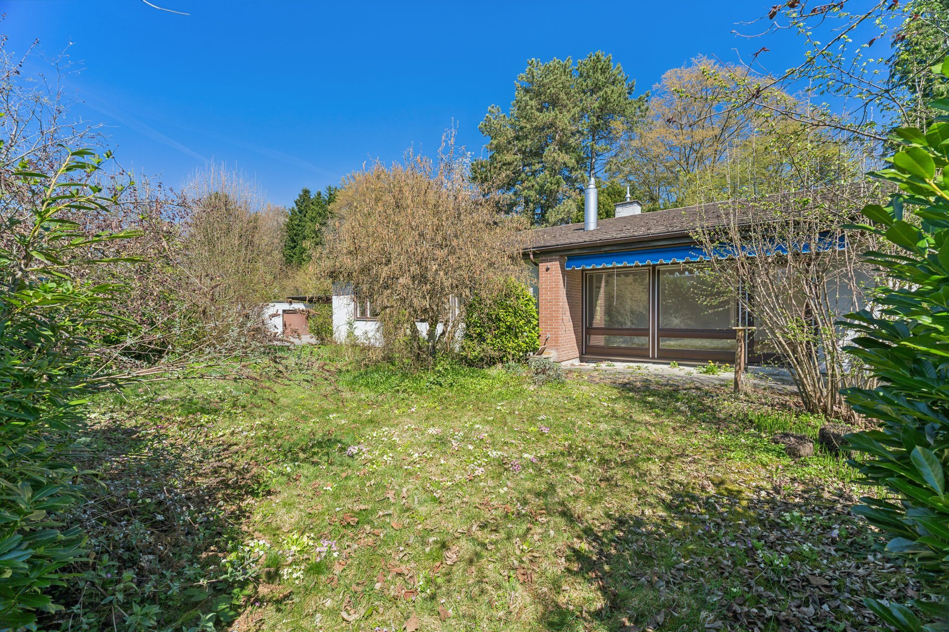 610657 B backbonephoto 005