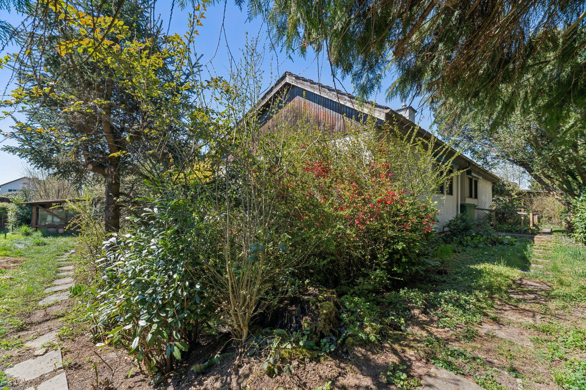 610657 B backbonephoto 023