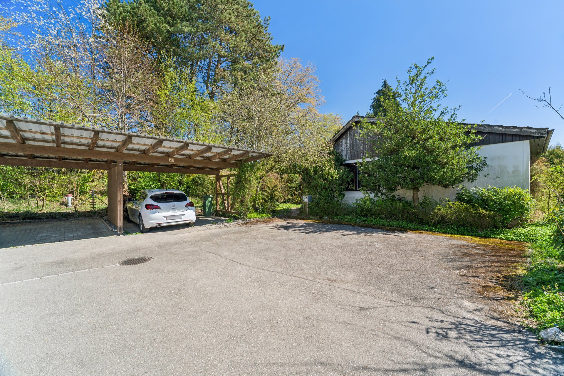 610657 B backbonephoto 017