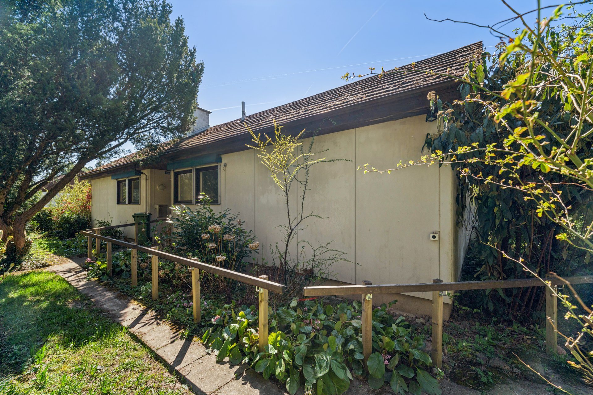 610657 B backbonephoto 020